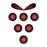 ＷｉｎｅｃａｖｅＮＥＧＩ