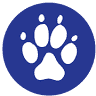234 Dierenartsen