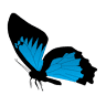 3.7 Designs