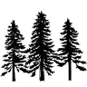 3 CEDARS COFFEE