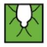 NJ Pest Control