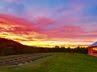 5 Birds Farm & Regenerative Wellness