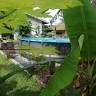 Aathid Garden Khao Lak