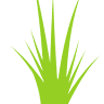 Abulk Turf