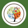 Accounting and Tax Solutions