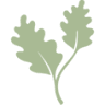 Acorn Wellness Retreat