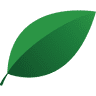 aCremation
