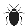 Action Now Pest Control & Duct Cleaning