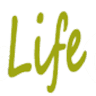 Active Life Fitness Personal Training