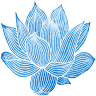 Acupuntura BenHai