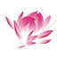 Essential Acupuncture Clinic