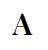 Adler CPA's & Advisors