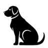 A Dog’s Tale Adventure