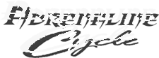 ADRENALINE CYCLE