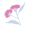 Adriana Bellicanta Acupuncture - Pregnancy, Fertility, IVF Acupuncture