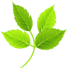 Adroit Equity