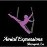 Aerial Expressions Shreveport