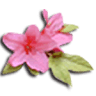 Afton Villa Gardens