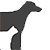 Aquia-Garrisonville Animal Hospital