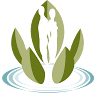 Dr. Randolph's Ageless & Wellness Center