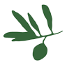 Agora Foods International