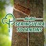 Agro Seringueira Tocantins