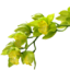 Gospodarstwo Agroturystyczne 