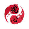 Aikido San Miguel