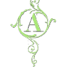 Aili Ice Designs