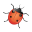 Area 3 Ladybugs