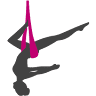 Aerial Yoga & Fitness Studio