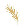 Alecrim Dourado Variedades
