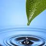 Algiere Enterprises LLC Water Conditioning and Purification