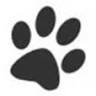 ALL 4 PAWS