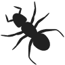 all calls pest control