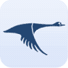 Allen & Associates