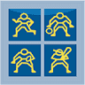 North Star Orthopedic