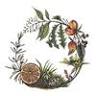 All Things Natural & Organic