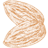 Almendras Martín SLU
