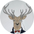 ALM SEASONS Premium Chalet & Studios