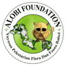 Alobi Wildlife City office