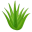 ALOE VITAE CENTER