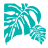 Aloha Standard