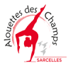 Club de Gymnastique à Sarcelles, les ALOUETTES DES CHAMPS