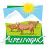 Alpe Livigno - Negozio Tresenda