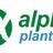 Alpha Planters