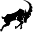 Alpin Arms
