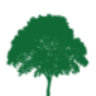 Alabama Psychiatry Anniston