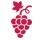 Alto Vineyards