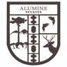 Municipalidad de Alumine